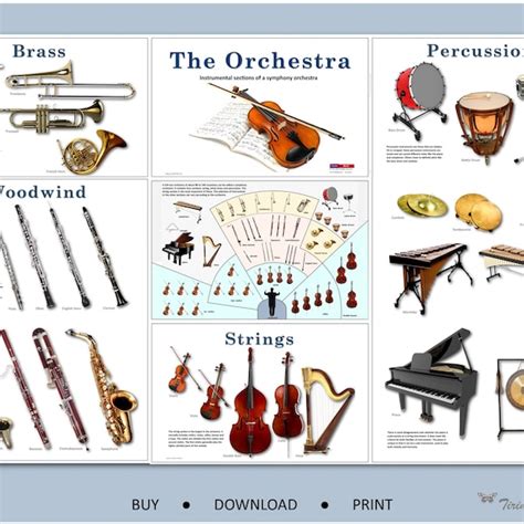 Image result for Orchestra String Instruments Posters