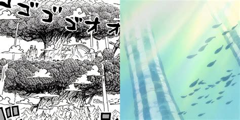 One Piece: The Adam and Eve Trees, Explained