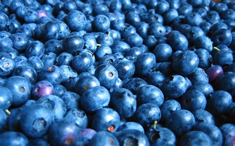 Vibrant Blueberry Bliss – HD Wallpaper