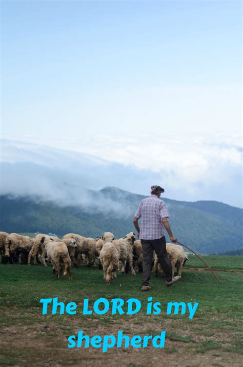 Psalm 23, 2025 – The Lord is My Shepherd | HTC Community Fellowship