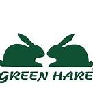 Image result for Hare