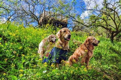 5 places to visit if you love animals | Femina.in