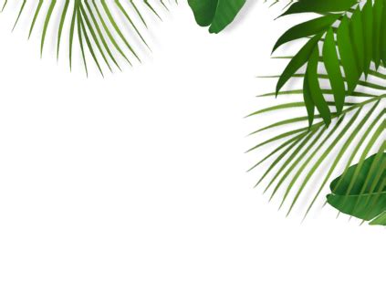 Haryana Roadways Bus Time Table: Hr Bus Routes