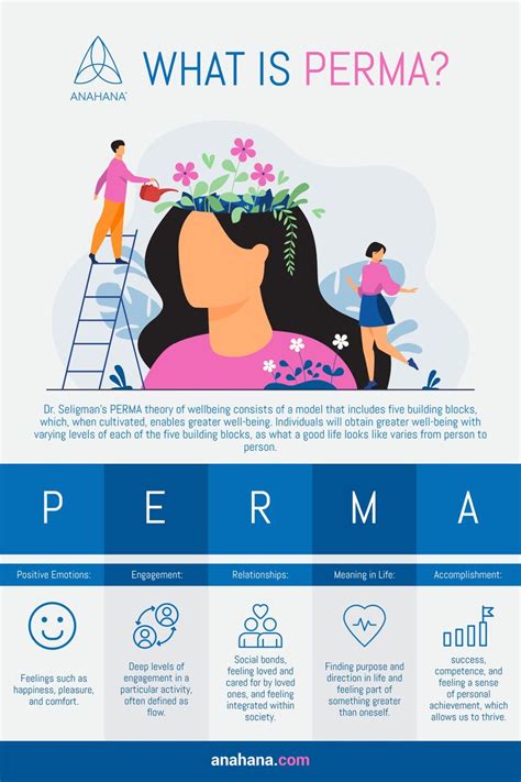 Image result for Perma Model Flow