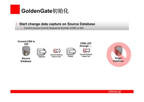 Image result for Oracle Golden Gate Tutorial