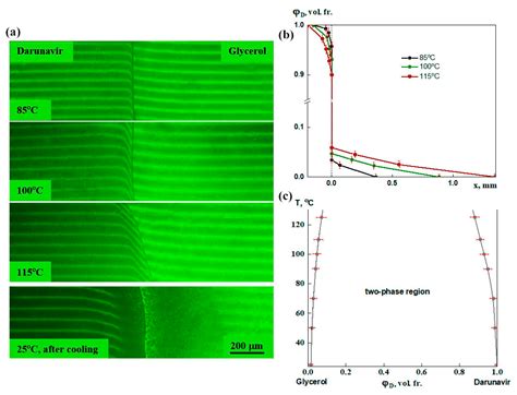 Laser Microinterferometry for API Solubility and Phase Equilibria ...