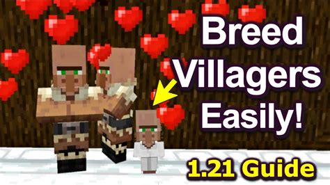 Minecraft Java Villager Breeder 的图像结果