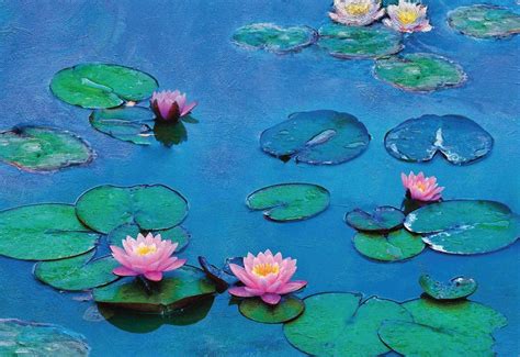 Water Lilies Movie Cast