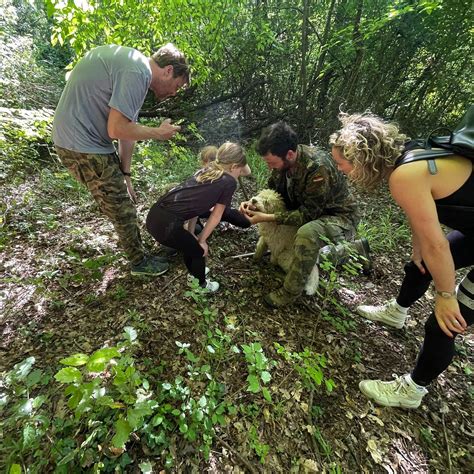 TRUFFLE HUNTING CON TUSCANY FLAVOUR (2026) All You Need to Know BEFORE ...
