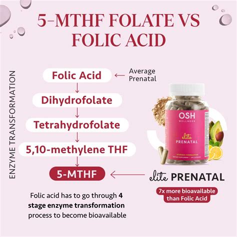 Image result for Different Types of Folate
