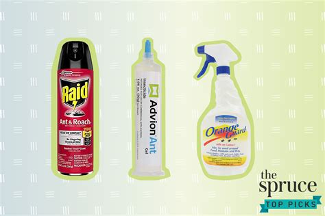 The 9 Best Ant Killers of 2021