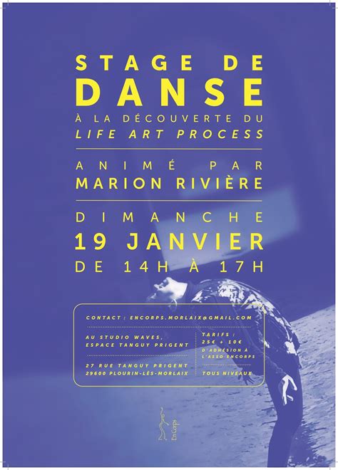 STAGE DANSE (Life Art Process), 27 Rue Tanguy Prigent, 29600, Morlaix ...