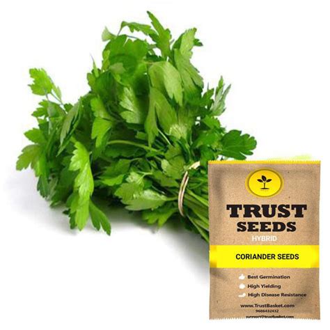 home & garden > plants > seeds – TrustBasket