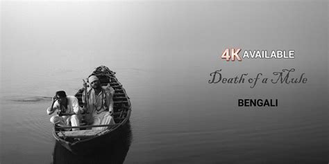 Watch Death of a Mule Movie Online | Buy Rent Death of a Mule On BMS Stream