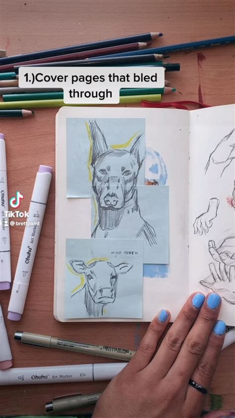 Sketchbook Tips 的图像结果