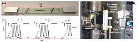 Effect of Loading Pattern on Fatigue Behavior of Laminated Composites