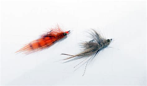 Redfish Fly Patterns 的图像结果