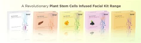 Raaga Professional Stem Cells Infused Anti Aging Facial Kit | Evening ...