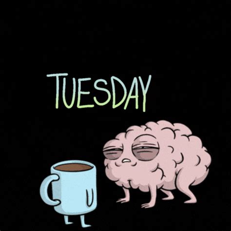 100 Hilarious Happy Funny Tuesday GIFs of the Week - FunZumo
