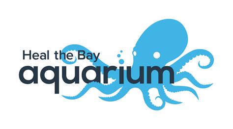 A Day in the Life of an Aquarist - Heal the Bay