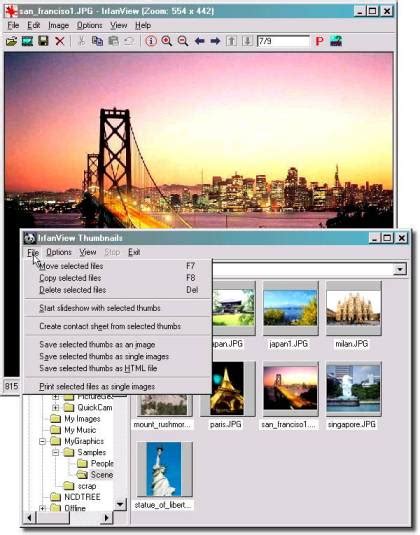 Image result for IrfanView PDF