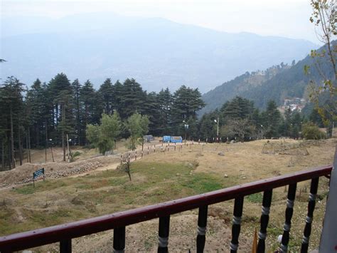 OYO 35560 Hotel Forest View Restaurant: Pictures & Reviews - Tripadvisor