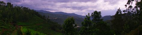 Kotagiri - JungleKey.in Image