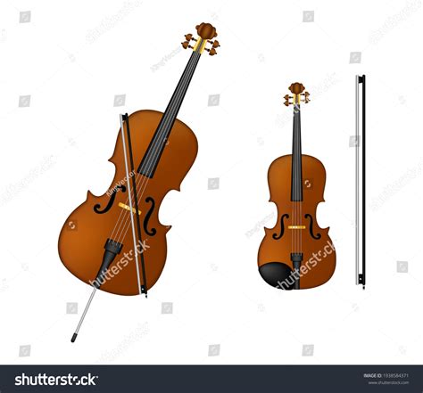Cello Instrument Parts