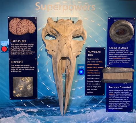 Point Vicente Interpretive Center - Palos Verdes Magazine