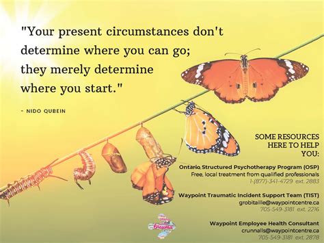 Image result for PTSD Help