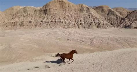 Video: Can the iPhone 12 Pro be a professional movie camera? Ask ...