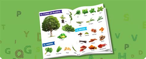 Buy My First 1000 Words: Early Learning Words and Pictures Book for ...