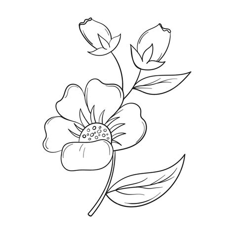 Un semplice disegno di un fiore con foglie e fiori. | Vettore Premium