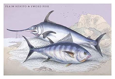 Lithographs of British Fish Done for Sir William Jardine and his ...