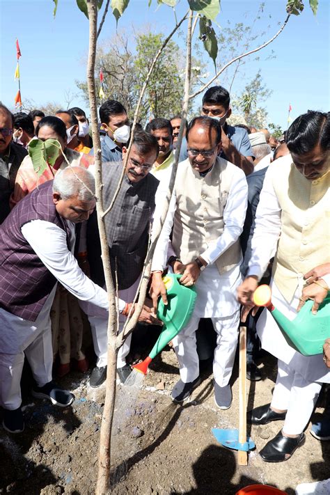 We have to make plantation an integral part of our life, says Chief ...