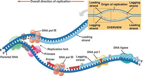 Image result for Replication Script