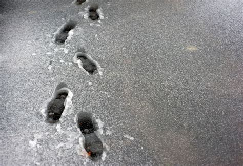 Thunder Sleet 的图像结果