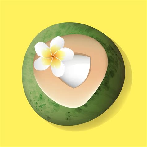 Open coconut design Images - Free Download on Freepik
