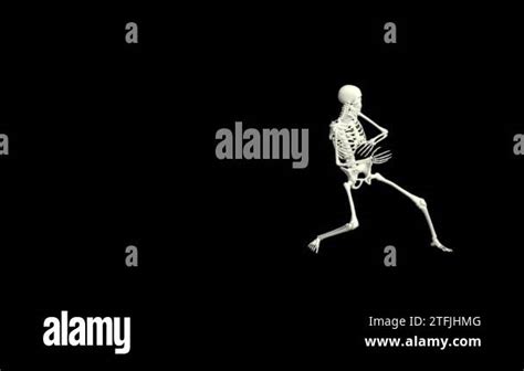 Image result for Skeleton Dance Animation
