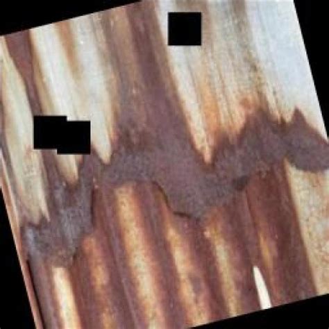 Blooprint Sensitivity Rust 的图像结果