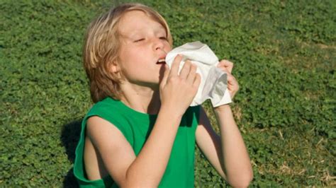 The Record of a Sneeze Day 2023: Date, Importance, Facts about Sneezing