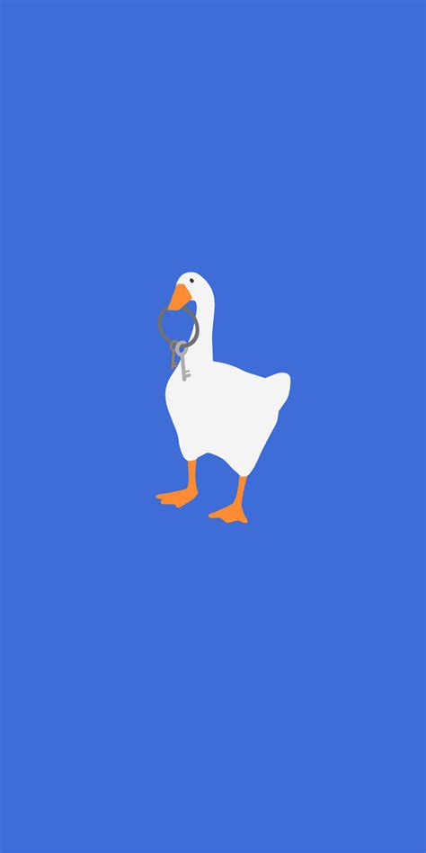 Animal Goose HD Wallpaper