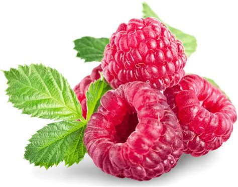 Image result for Raspberry Pi OS Lite Ffplay