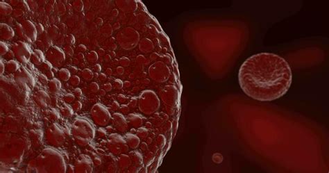 Image result for Cell Animation