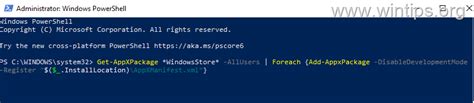 Install Store PowerShell 的图像结果