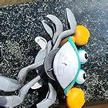 Buy Kidology Crawling Crab Infant Tummy Time Toys for Kids | Kids ...