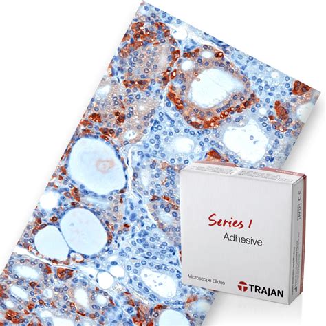 Image result for Microscope Slides Animation