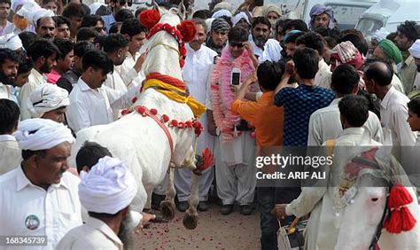 Abrar Ahmed Photos and Premium High Res Pictures - Getty Images