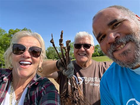 La Vigneta Winery | Experience Butler County PA