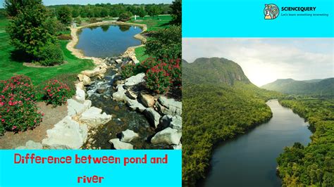 Difference between pond lake and river.pdf